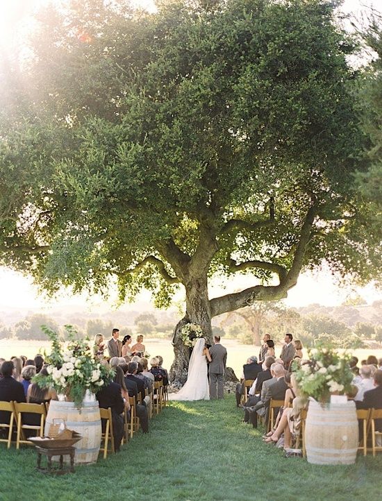 A imagem pode conter: céu, árvore e atividades ao ar livre  Casamento  altar, Decoração da cerimônia de casamento, Casamento